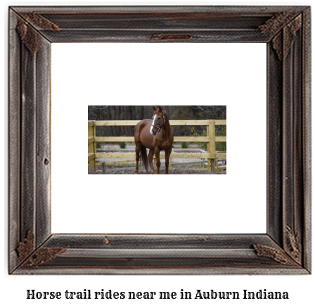 horse trail rides near me in Auburn, Indiana